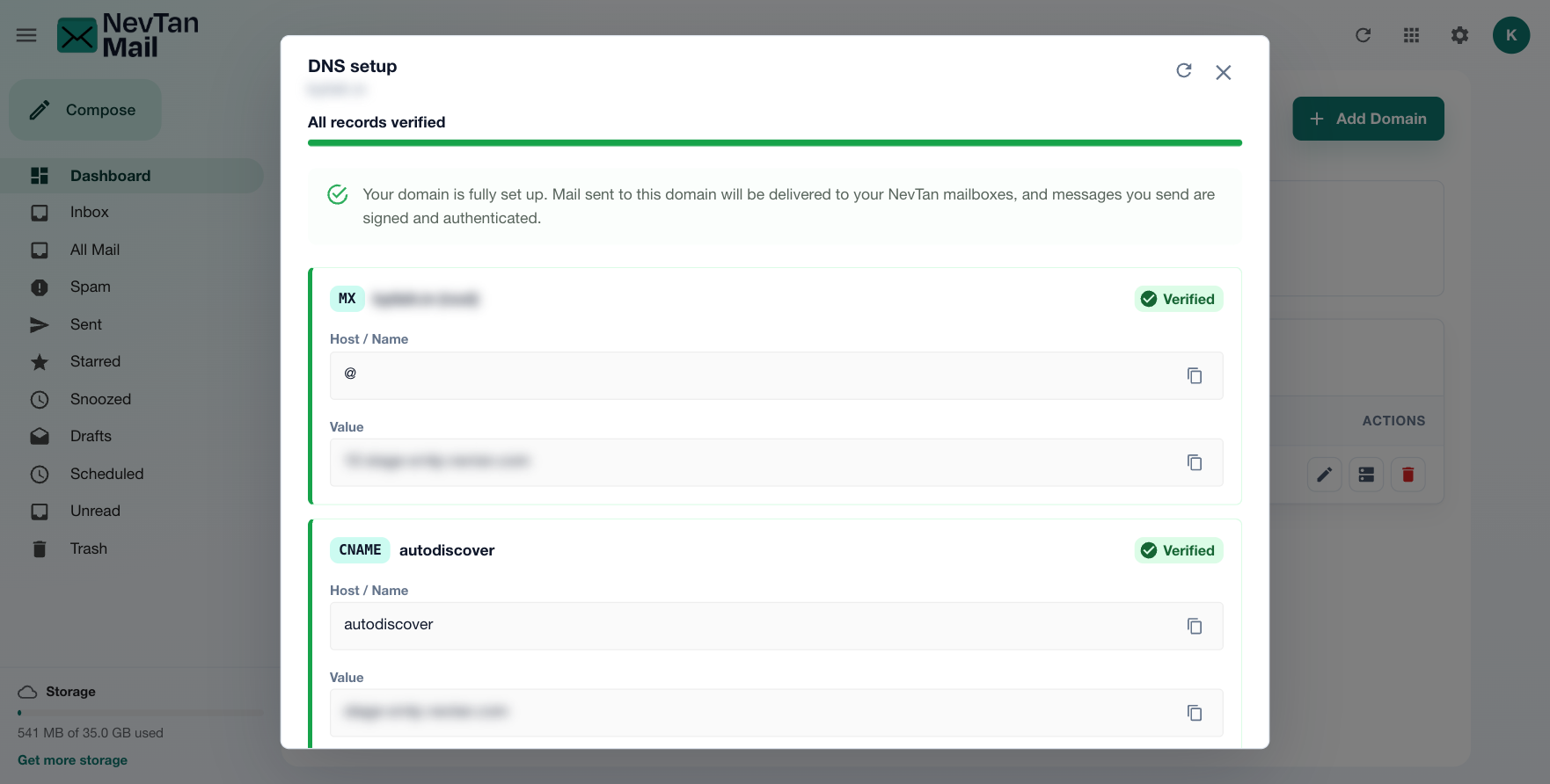DNS setup screen with a card for each record showing its type, host, value, and verification status